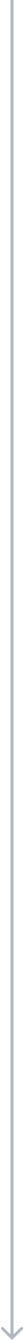 bottom