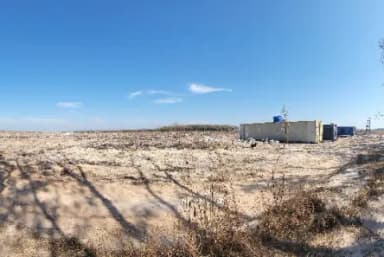 Co-operate with TBRI for researching resistance variety (Panama disease)